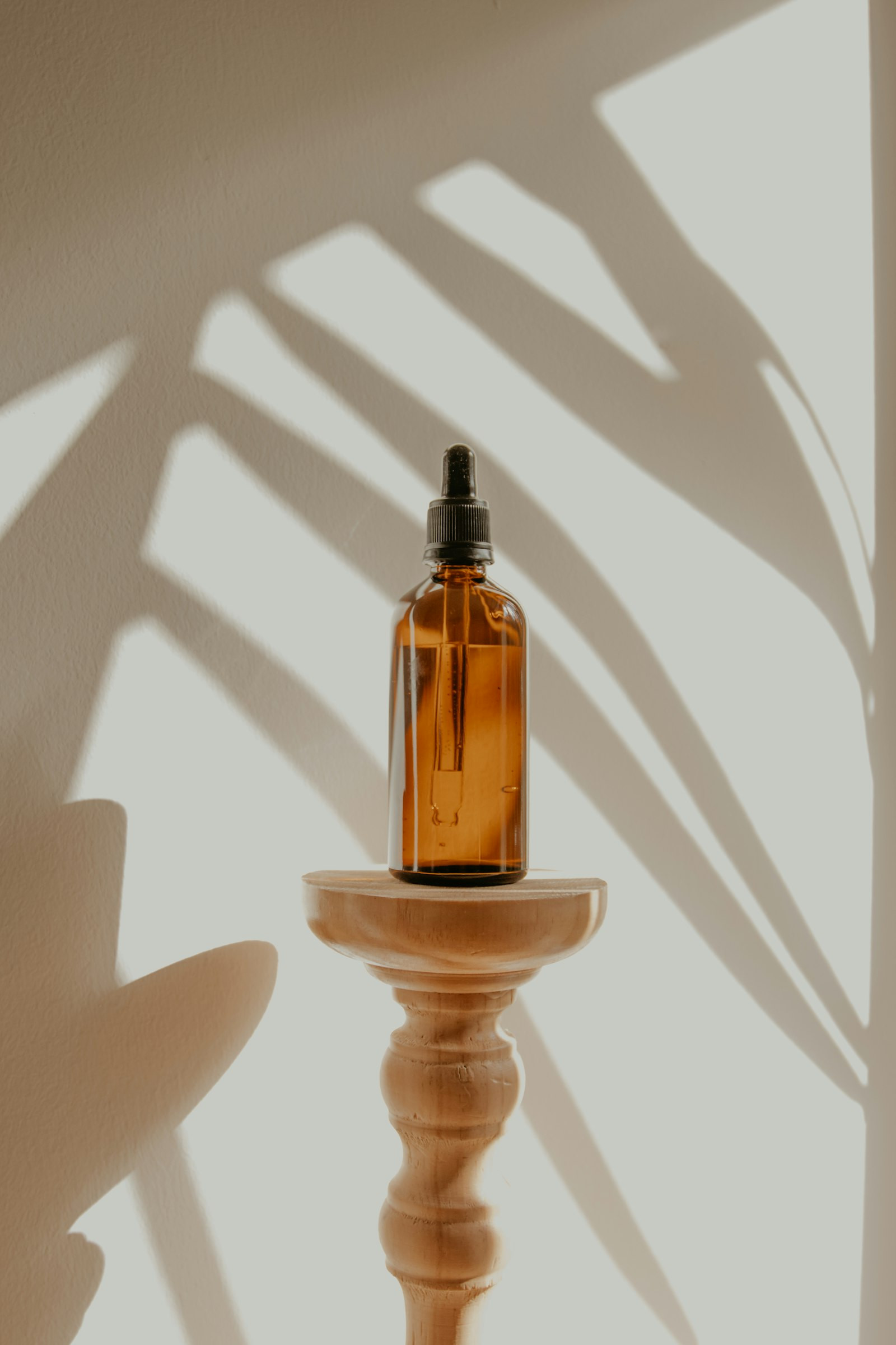 Illustrative skincare and botanical objects