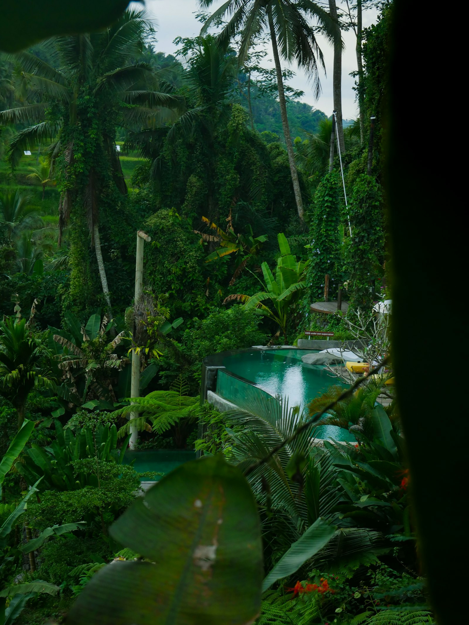 Illustrative tropical garden retreat